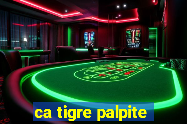 ca tigre palpite